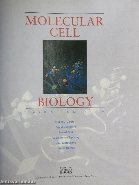 Molecular Cell Biology