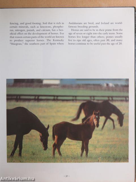 The Random House Book of Horses and Horsemanship