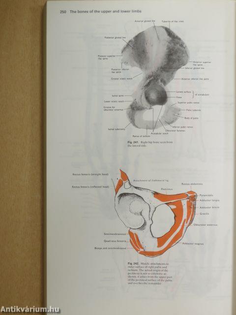 Cunningham's Manual of Practical Anatomy I.