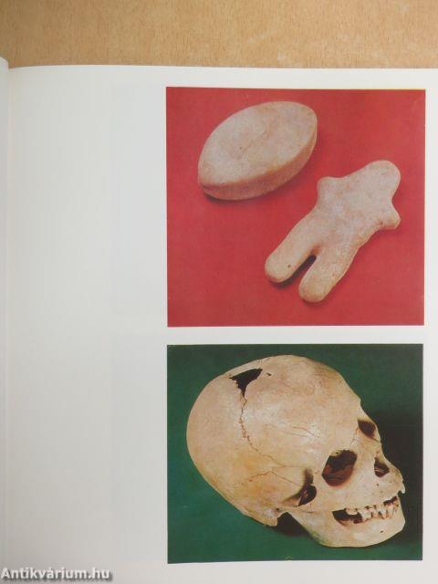 Pictures from the History of Medicine