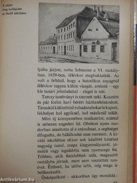 Így élt a szabadságharc költője