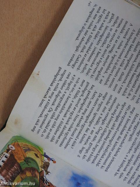 A világ és az ember