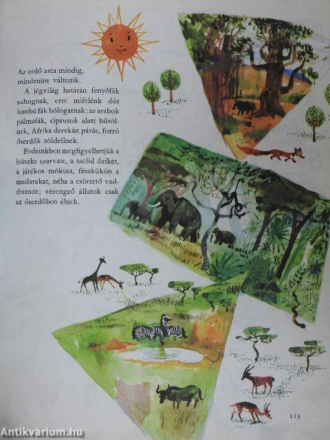 A világ és az ember