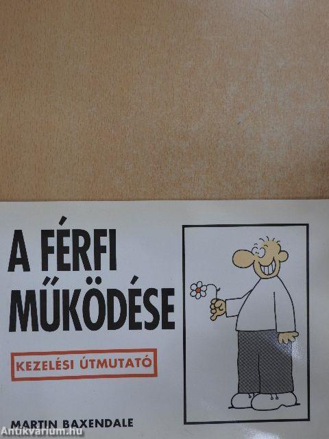 A férfi működése