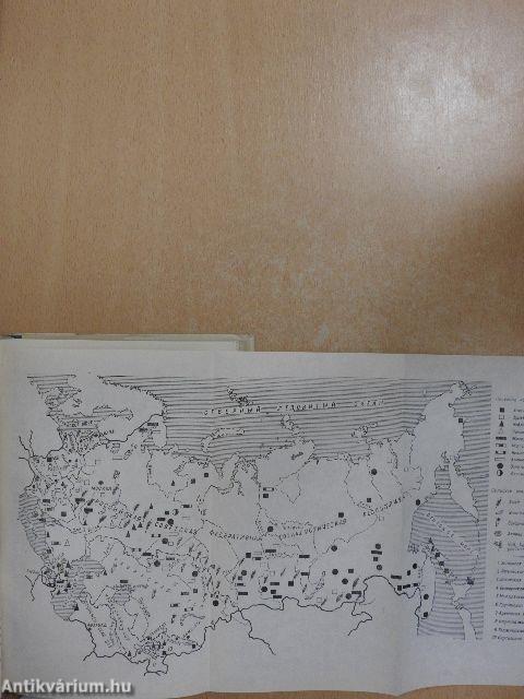 Orosz társalgási és külkereskedelmi nyelvkönyv