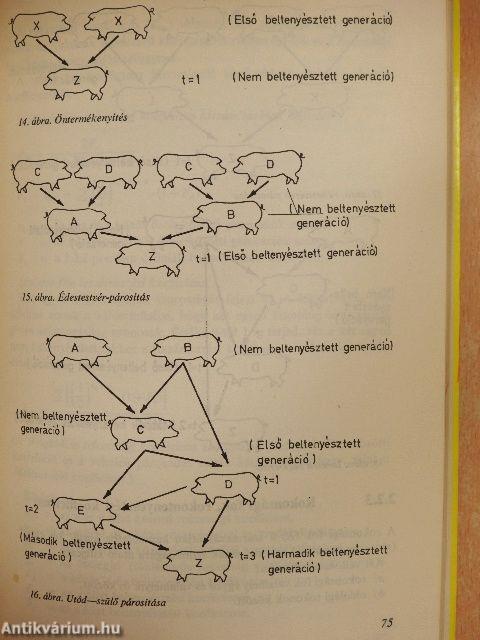 Biometriai és populációgenetikai számítások az állattenyésztésben