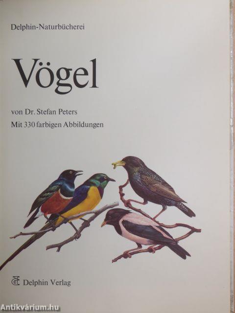 Vögel