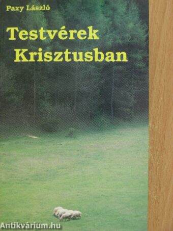 Testvérek Krisztusban