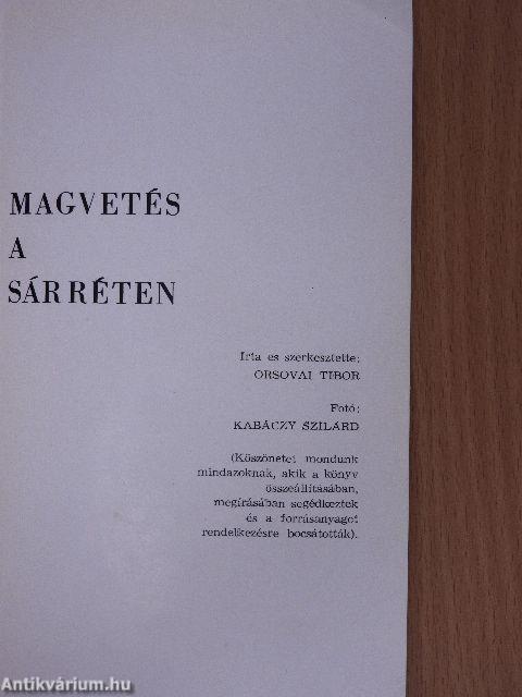 Magvetés a Sárréten