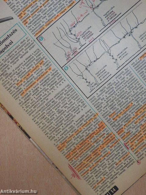 Kertbarát magazin 1978. március