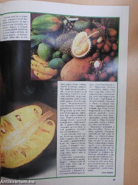 Kertbarát Magazin 1999. szeptember