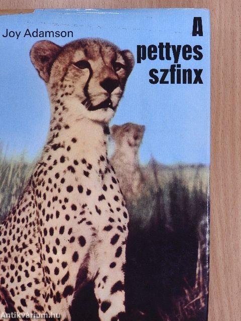 A pettyes szfinx