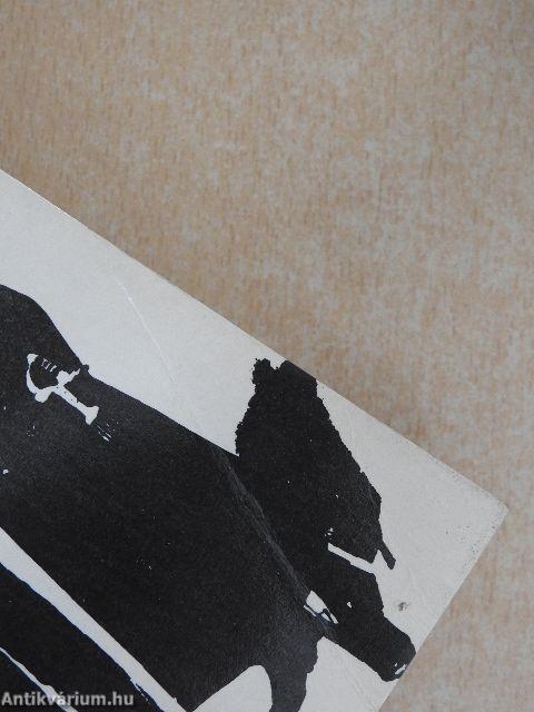 Egy m. kir. százados bizalmas feljegyzései