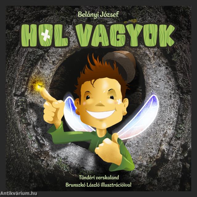 HOL VAGYOK
