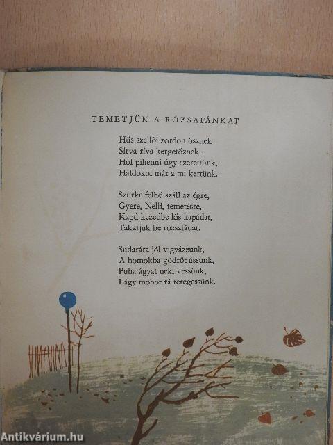 Sétálni megy Panka...