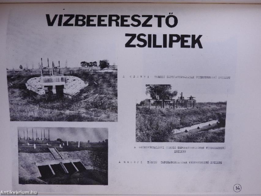 Vizeink 1981 évi különszám a tározás gyakorlatából