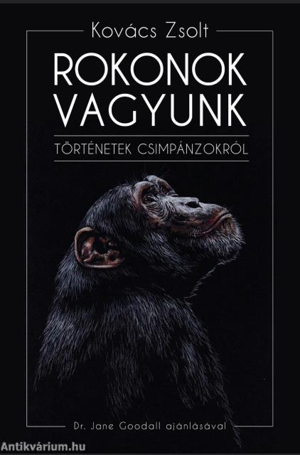 Rokonok vagyunk