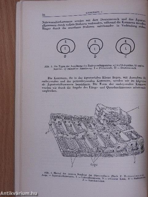 Magyar Nemzeti Múzeum-Természettudományi Múzeum évkönyve 1959.