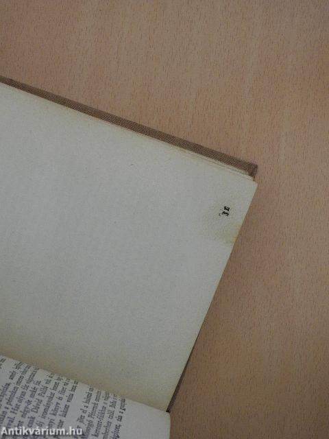 Ábel a rengetegben
