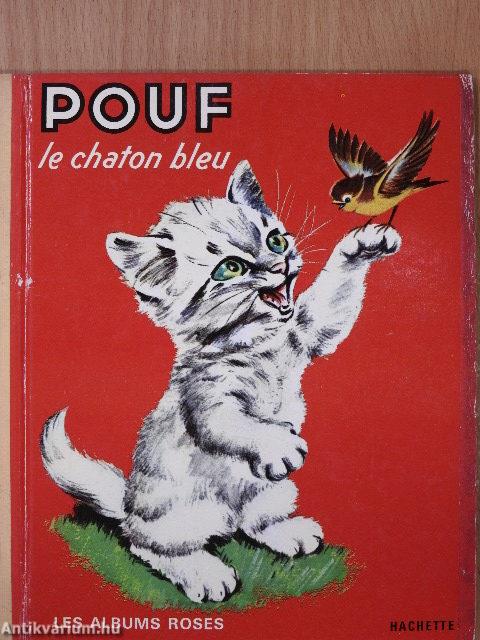 Pouf et chaton bleu