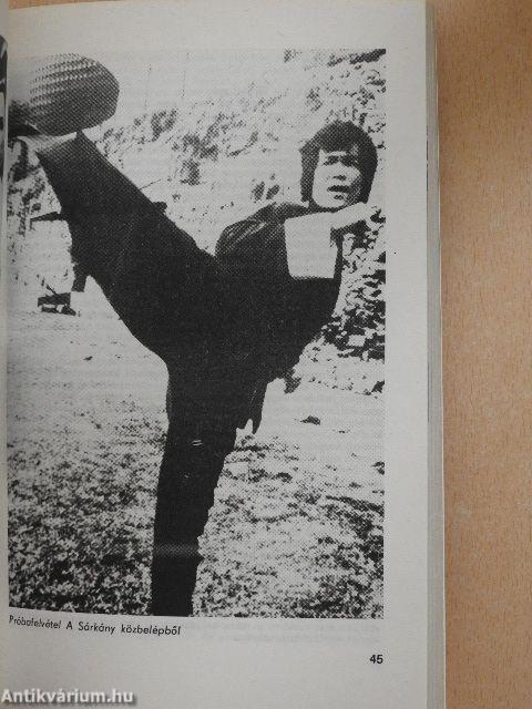 Bruce Lee