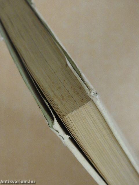 Vendég voltam Japánban