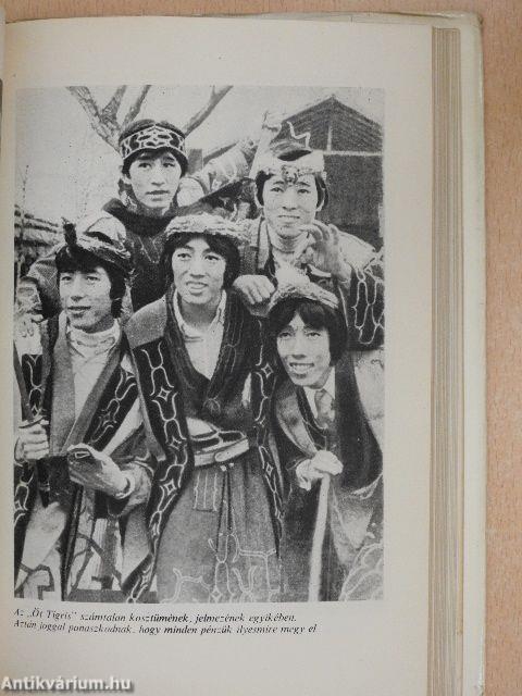 Vendég voltam Japánban