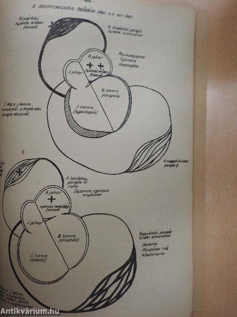 Belgyógyászati propedeutika