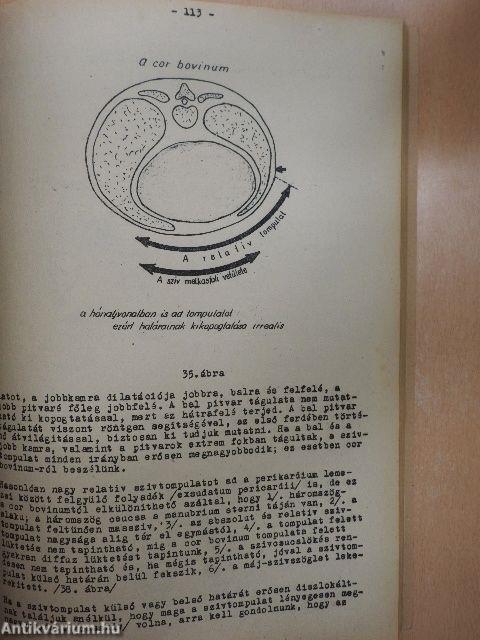 Belgyógyászati propedeutika