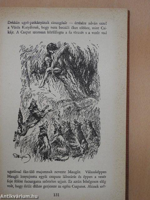 A dzsungel könyve és az új dzsungel-könyv