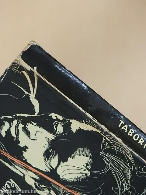 Az utak kettéválnak