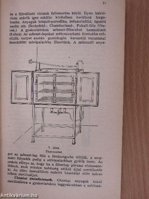 Kórtani gyakorlatok