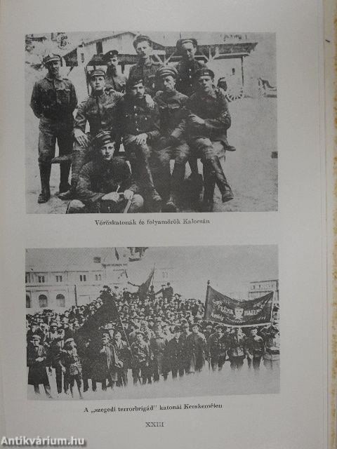 Dokumentumok az 1918/19-es forradalmak Duna-Tisza közi történetéhez