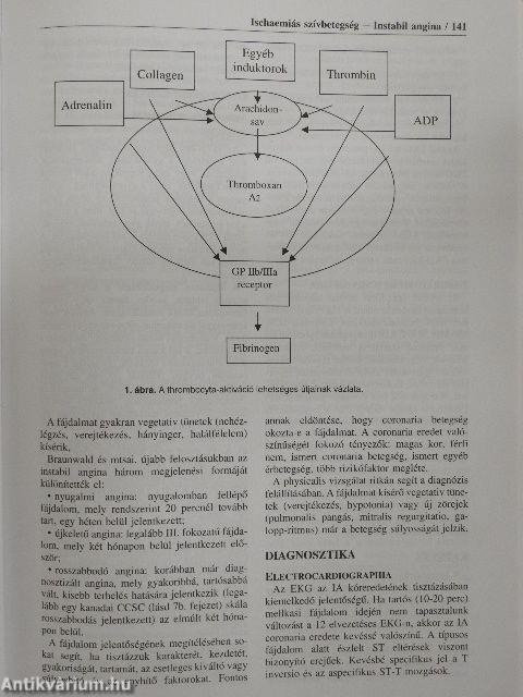 Kardiológia 2000