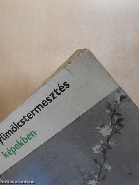 Gyümölcstermesztés képekben