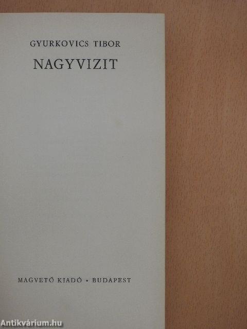 Nagyvizit