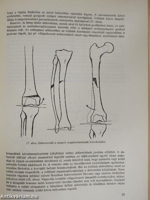 Az orthopaedia tankönyve