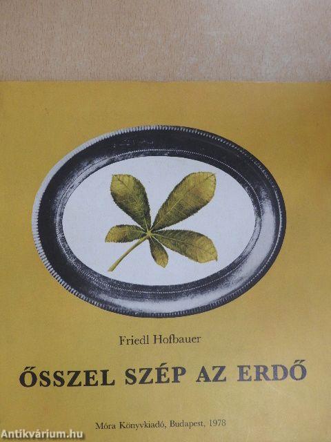 Ősszel szép az erdő