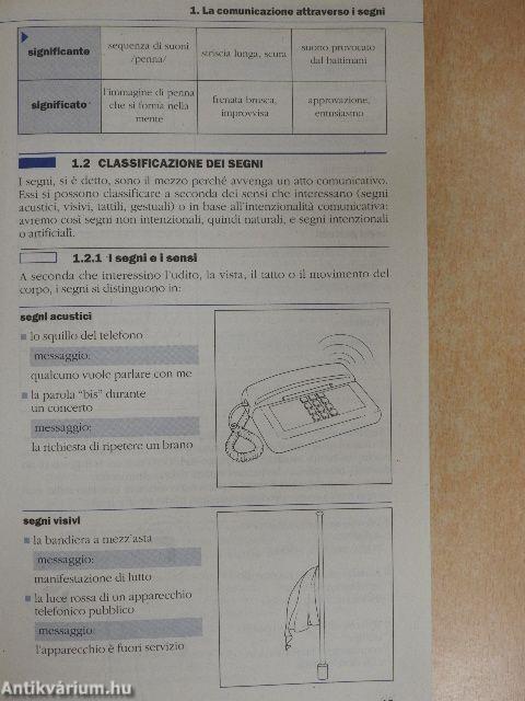 La lingua italiana - Grammatica