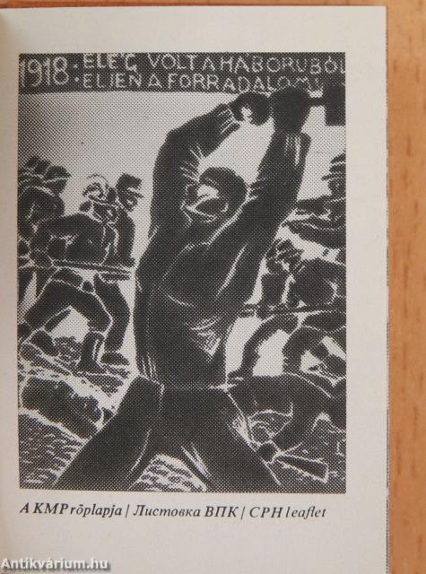 Zászlóbontás (minikönyv)/Zászlóbontás (minikönyv) (számozott)