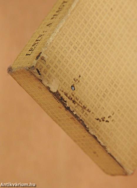 A Magyar Tanácsköztársaságról (minikönyv) - Plakettel