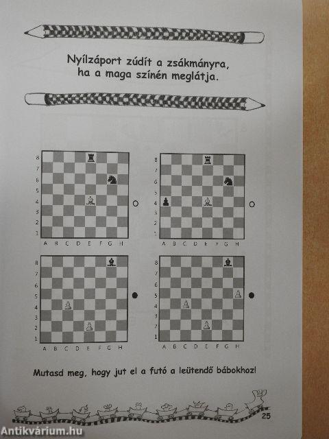 Sakkjátszótér