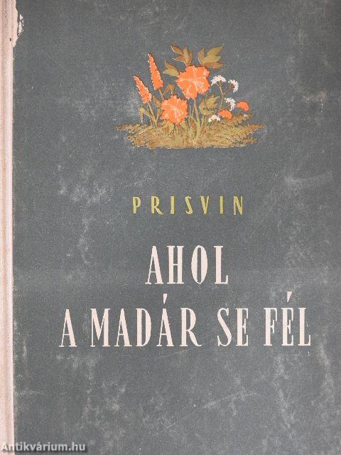 Ahol a madár se fél