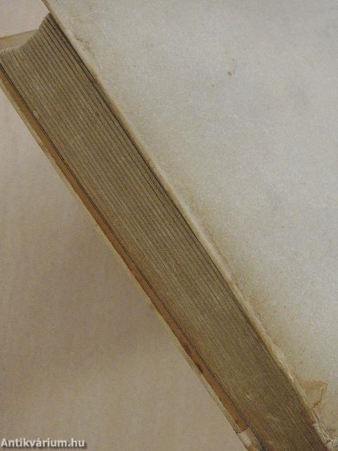 Egy magyar diák élete Mátyás király korában