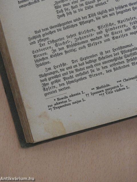 Präparationen für den Unterricht in der Naturgeschichte der Volkschule I. (gótbetűs)