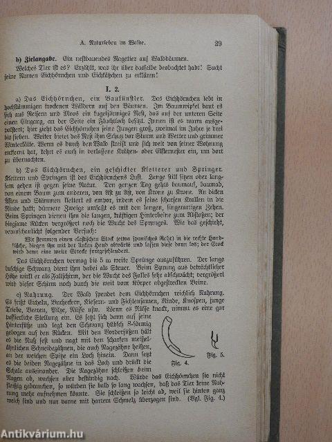 Präparationen für den Unterricht in der Naturgeschichte der Volkschule I. (gótbetűs)