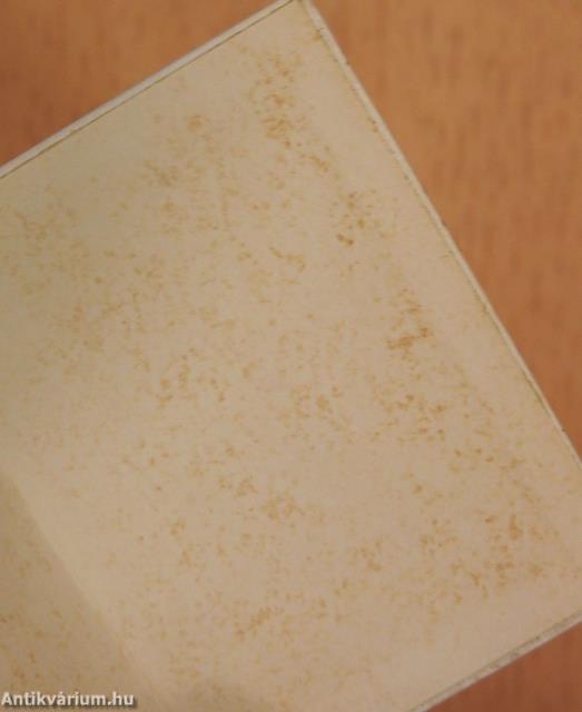 Antifasiszta plakátok (minikönyv)