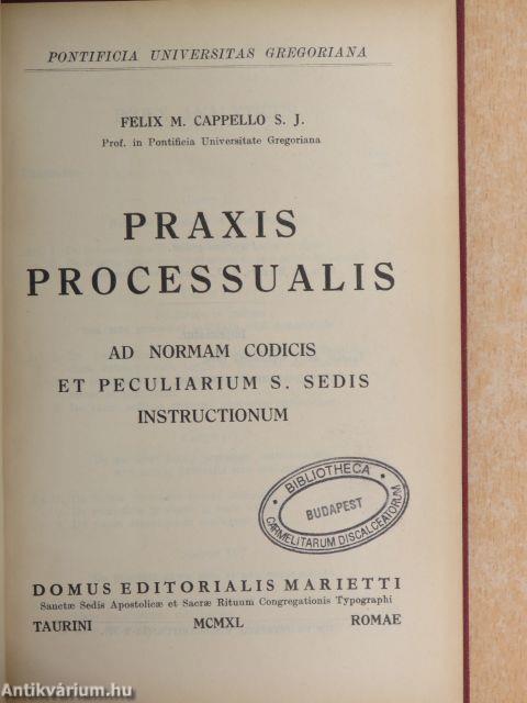 Praxis processualis