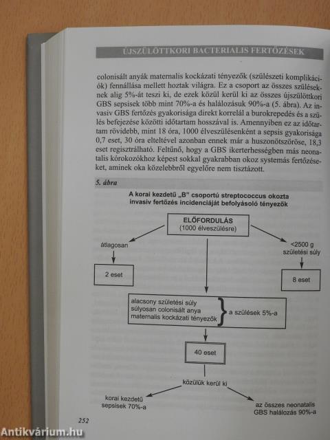 Intrauterin és neonatalis fertőzések (dedikált példány)