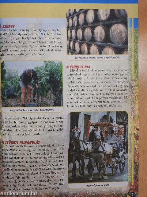 Szivárvány 2004. október